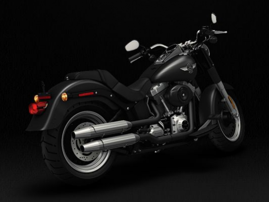 Фото мотоцикла Harley-Davidson Fat Boy Special