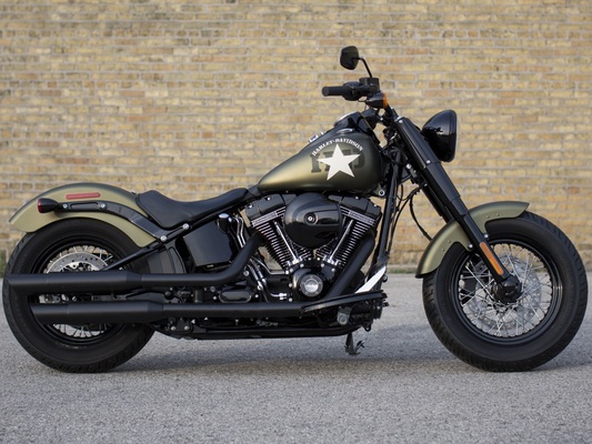 Фото мотоцикла Harley-Davidson Softail Slim S