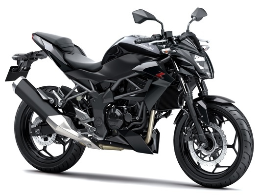 Фото мотоцикла Kawasaki Z250SL ABS